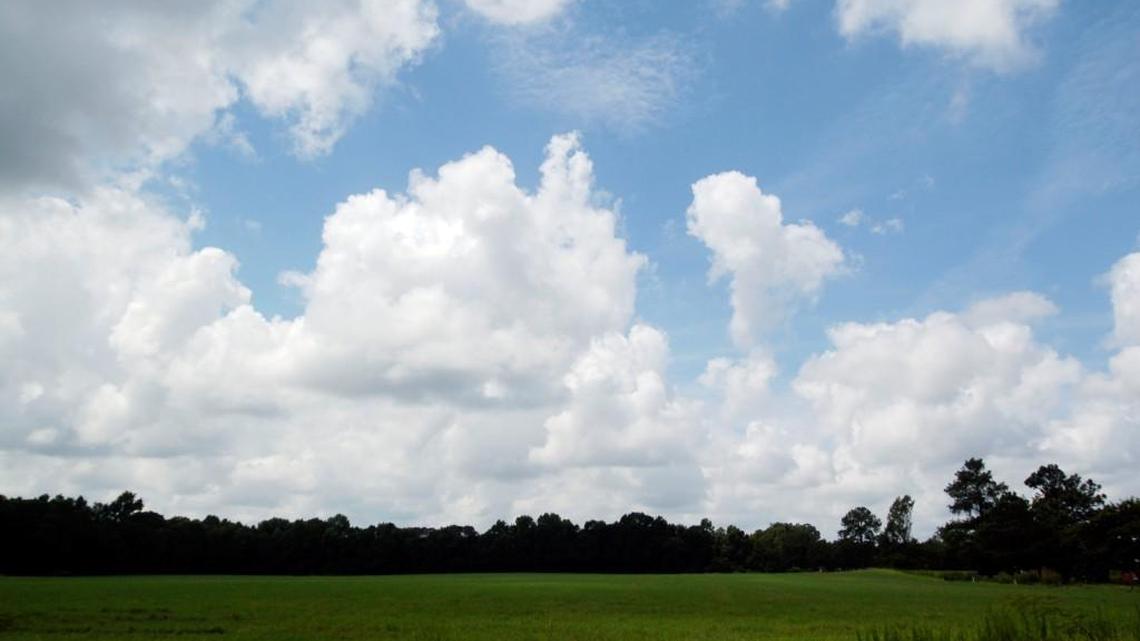 The state of North Carolina controls about a third of the 6,000 acres where the Battle of Bentonville took place.