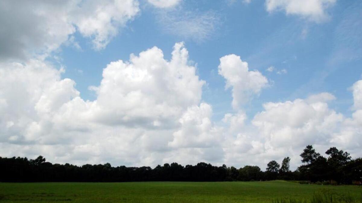 The state of North Carolina controls about a third of the 6,000 acres where the Battle of Bentonville took place.