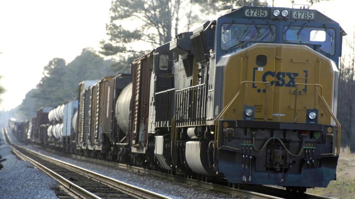 Business leaders and county commissioners say they want CSX to build a cargo-container hub in Johnston.