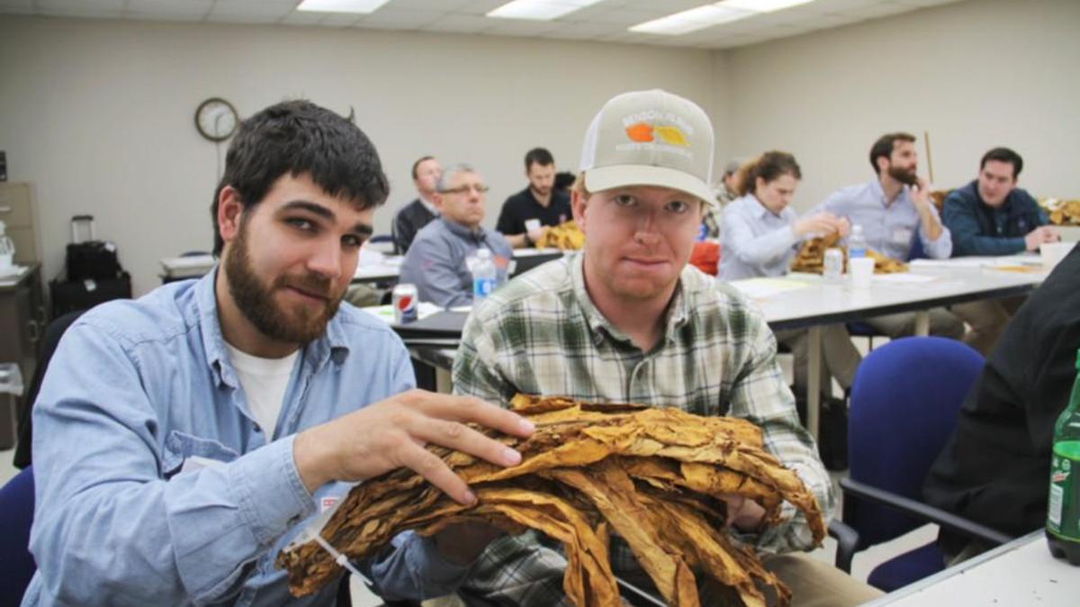 Johnston County tobacco farmers Hunter Langdon, left, and A.C. Benson examine tobacco leaves at the 2016 NC State Tobacco Short Course