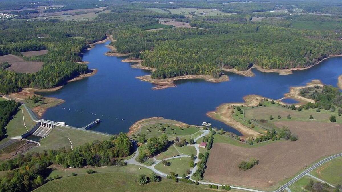 OWASA moves slowly on forest management, public process | Raleigh News ...