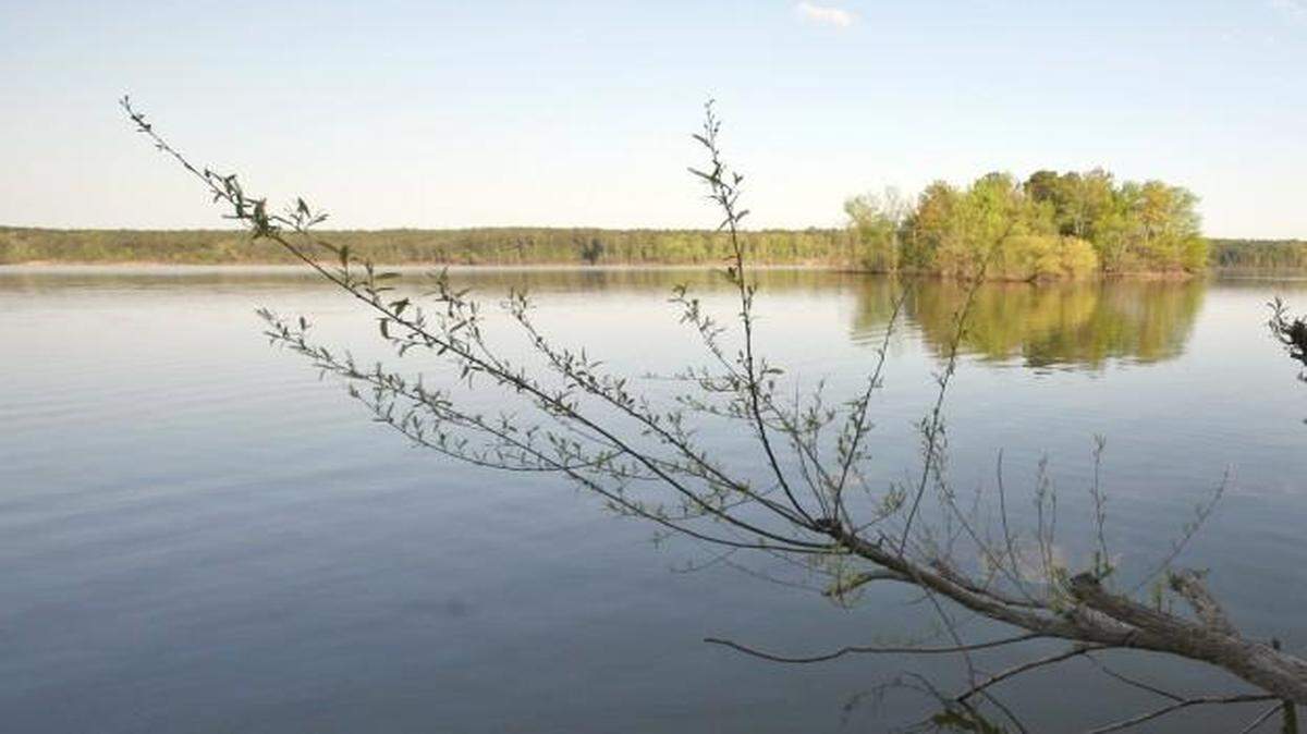 A proposal in the state Senate’s budget plan would study whether mussels can effectively clean Jordan Lake.
