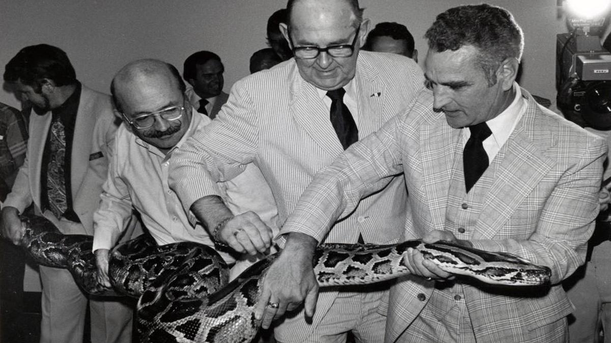 From left, curator Bill Palmer, N.C. Agriculture Commissioner Jim Graham and Command Sergeant Major Dewey Simpson move George into his new, larger exhibit space at the N.C. Museum of Natural Sciences in June 1978.