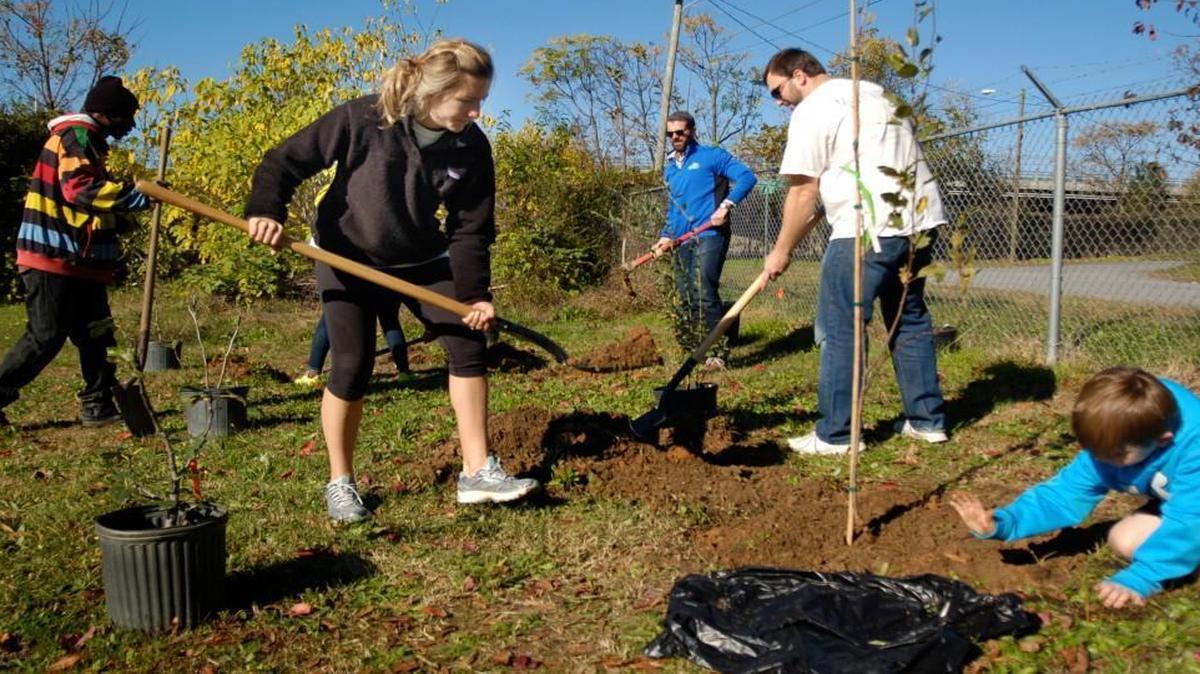 A group of volunteers plants fruit trees and bushes in the backyard of South Park’s Neighbor 2 Neighbor organization. The trees were planted to help residents learn more about gardening and fresh food, and likely provide a healthy snack.
