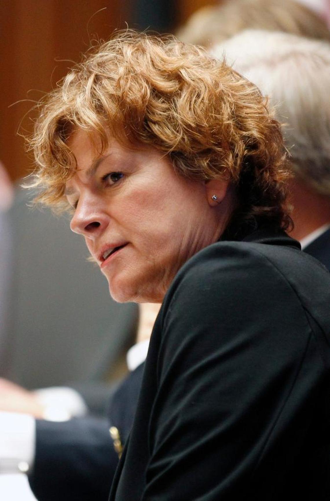 Raleigh City Council member Mary-Ann Baldwin talks during the Raleigh City Council regular session in the Council Chamber in the municipal building in Raleigh, N.C., Tuesday, June 21, 2016.
