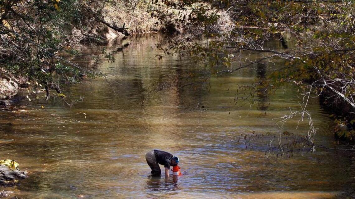 NCDOT’s 540 project must tread carefully around a protected stream mussel
