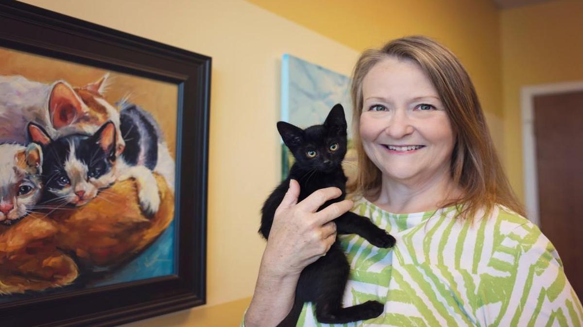 Pam Miller is executive director of SAFE Haven For Cats, a no-kill shelter devoted to cats.