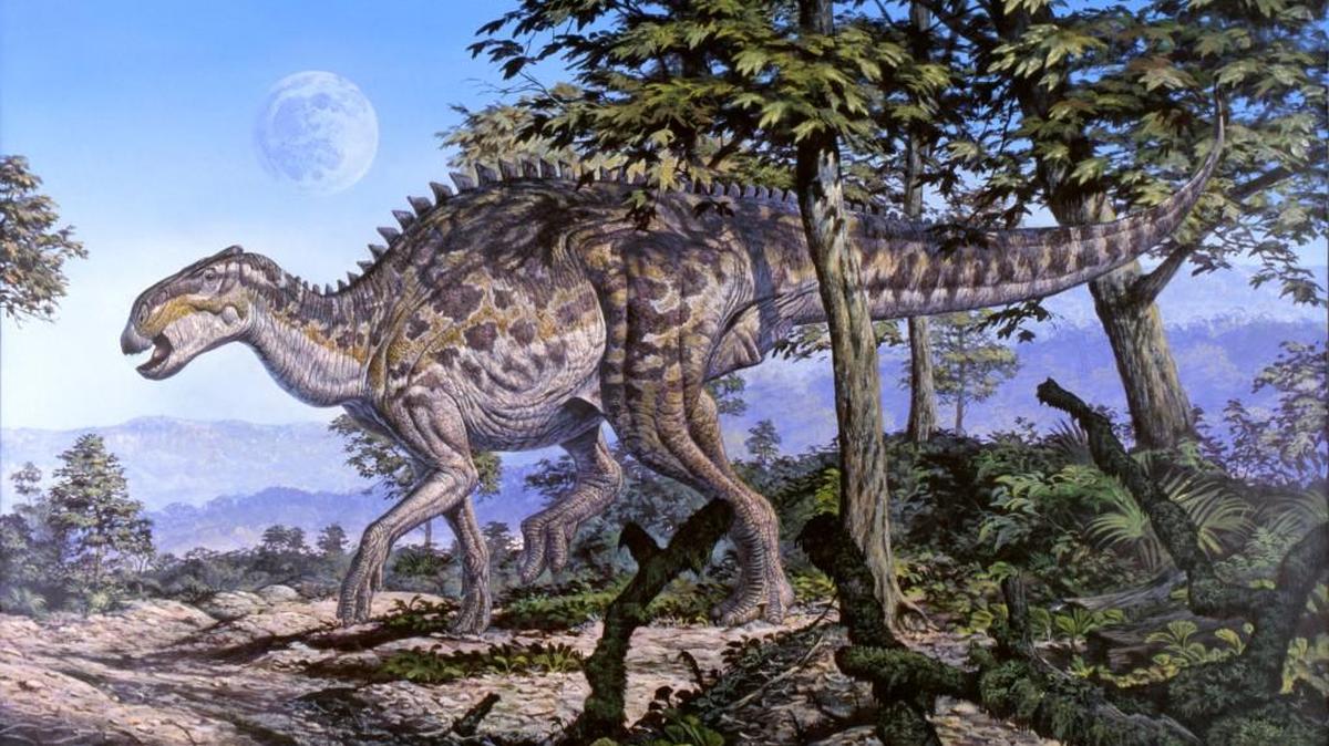Artist Mark Hallet’s rendering of a Brachylophosaurus dinosaur that roamed the earth 80 million years ago. N.C. State University researchers were able to extract proteins like collagen from the femur bone of a Brachylophosaurus.