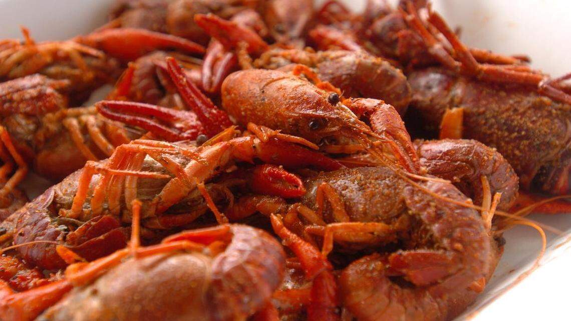 
The annual crawfish boil at the State Farmers Market in Raleigh is the showcase event for the state’s handful of growers, who raise them in earthen ponds in the eastern half of the state.

