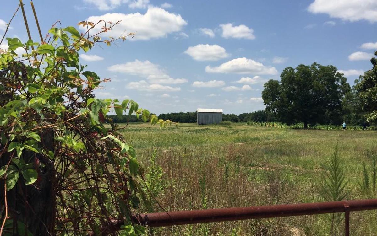 Southeast of the Rolesville Bypass, land like this could be rezoned for business development.