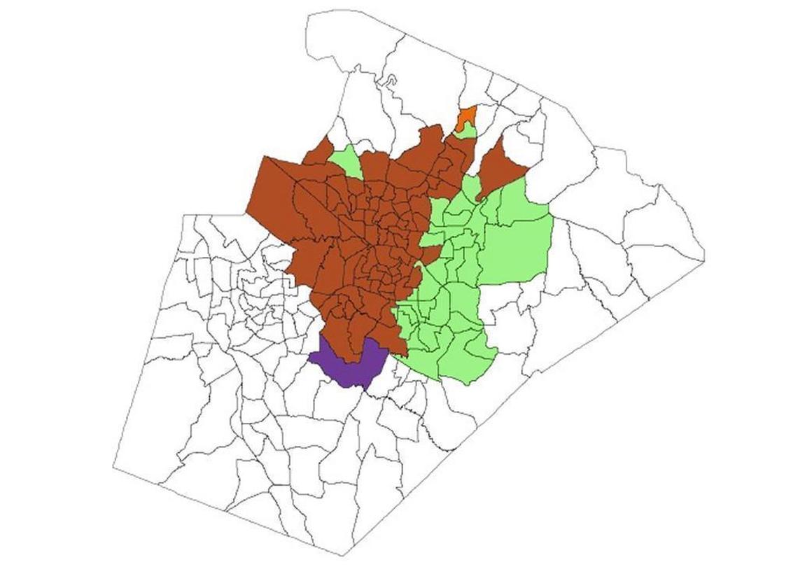 2017 precinct results. Incumbent Raleigh Mayor Nancy McFarlane won most of the western half of the city (brown), and challenger Charles Francis won most of the eastern half (green).