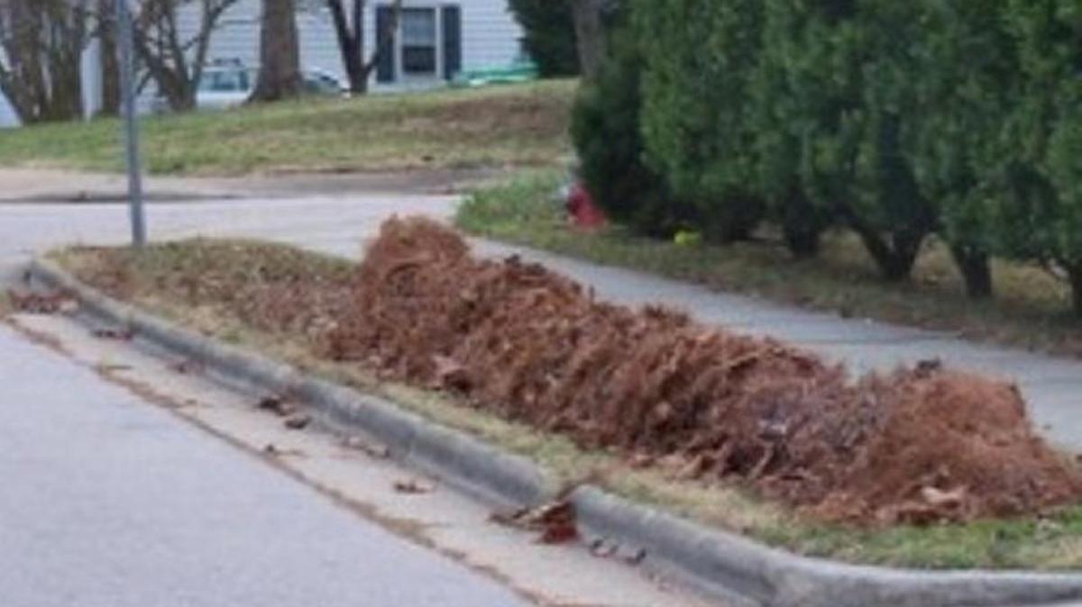 This how Raleigh officials want leaves to be put out for the city’s two loose-leaf collections this fall. Piles – in front of single-family houses only – should be within 6 feet of the pavement and out of the street. Schedules are on the city website’s leaf-collection page.