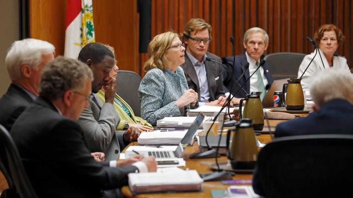 The Raleigh City Council discusses issues in this December 2015 file photo.