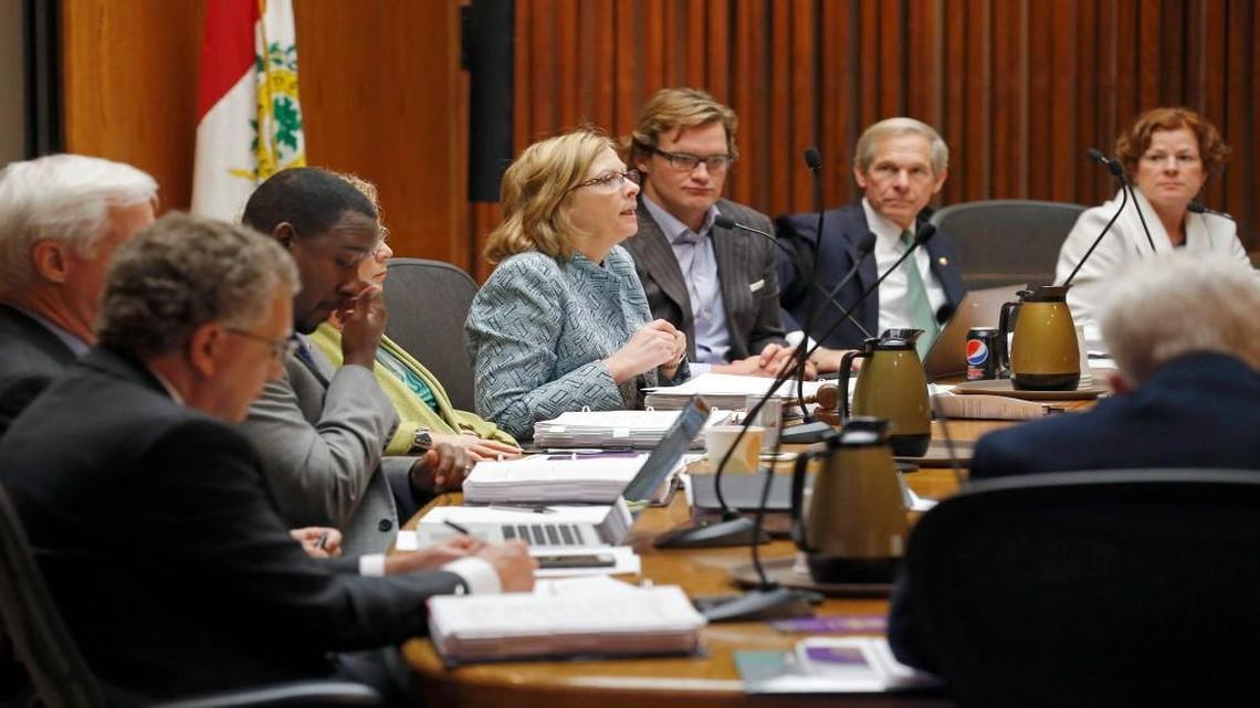 Council members, from left, David Cox, Russ Stephenson, Corey Branch, Kay Crowder, Mayor Nancy McFarlane, Bonner Gaylord, Dickie Thompson and Mary-Ann Baldwin discuss business as the Raleigh City Council meets on Dec. 1, 2015.