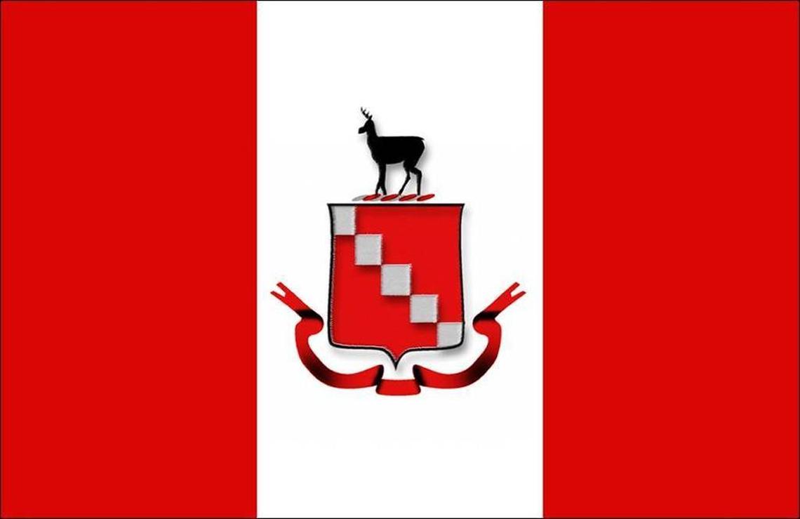 The back of the official Raleigh flag.