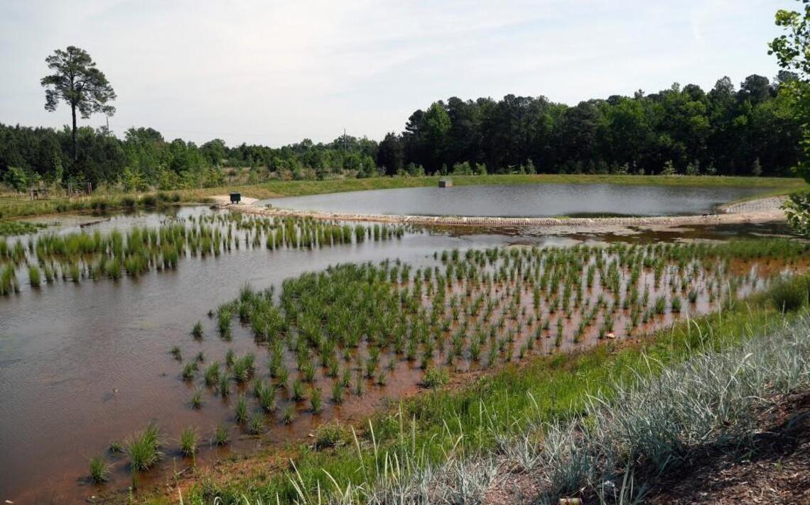 Development rules ease Triangle flooding but can’t prevent it