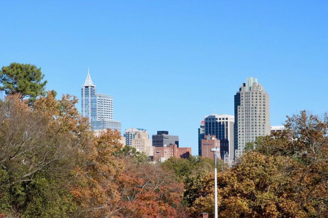 The view of downtown Raleigh from Dix Park, seen Sunday, Nov. 19, 2017.