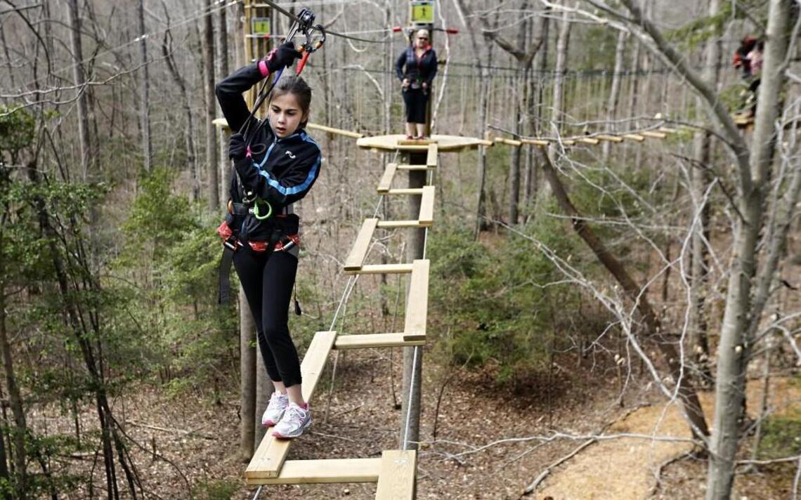 A tree house trail? Wake considers renovations to county parks