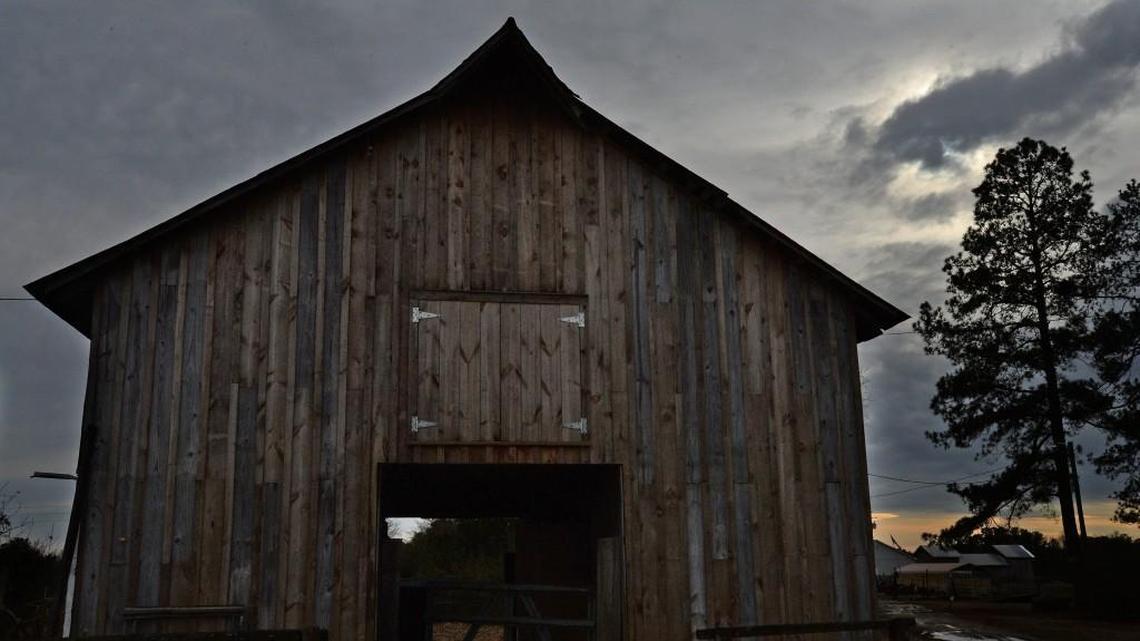 An old barn is being restored on the 405-acre Walnut Hill Nature Preserve near Knightdale, N.C. Wednesday, Jan 11, 2017. The Triangle Land Conservancy hopes to have a section of the Marks Creek watershed area in eastern Wake County open to the public in 2018.