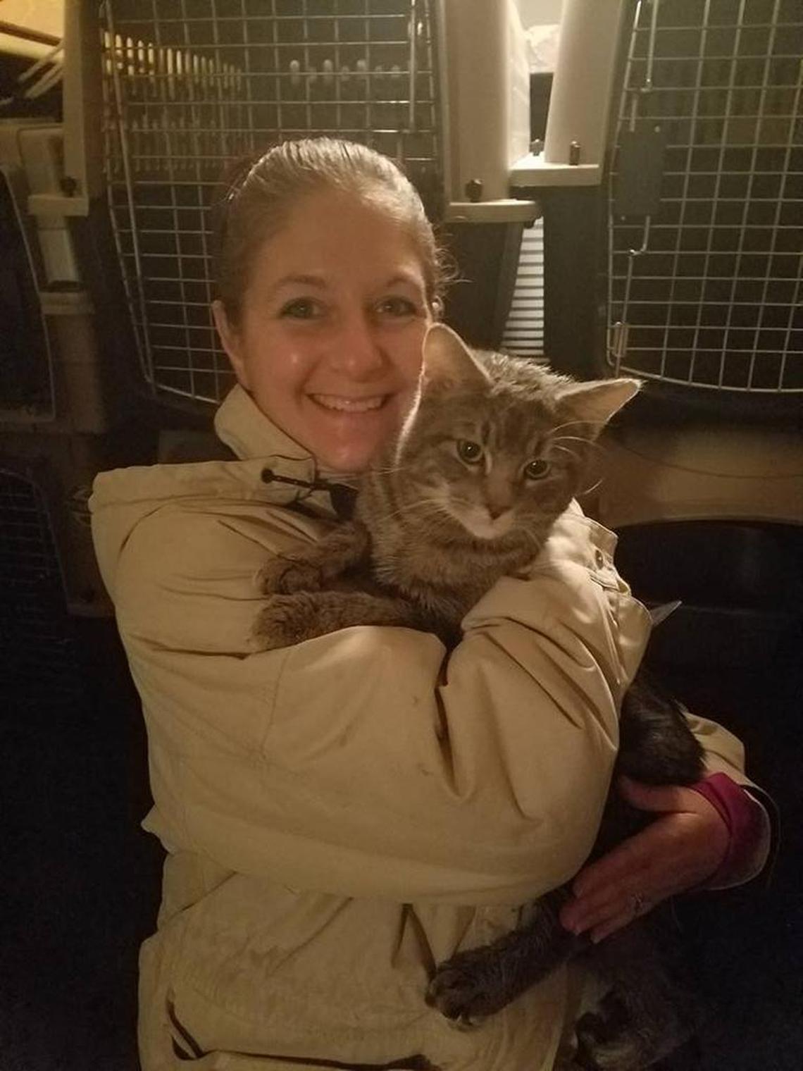 Kathy Kamins of Harnett County holds Nemo, one of the abandoned cats, after he was found. Nemo and 15 other cats were apparently dumped on the side of a Garner road after being checked out of the Cumberland County Animal Shelter, Johnston County prosecutors said.