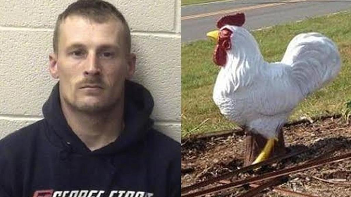 Andrew Emilious Justice was arrested and charged by the Alexander County Sheriff’s Office in connection with the theft of this 1,000-pound, concrete chicken statue.