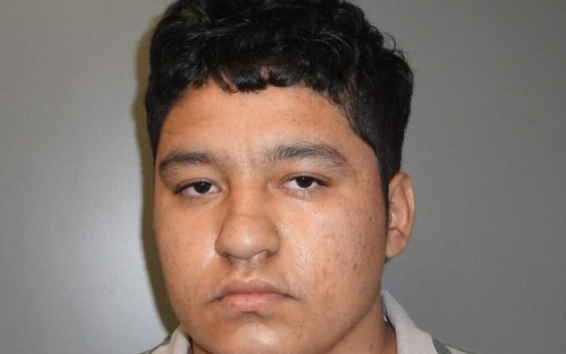 Teen charged with beheading his mother won’t face death penalty