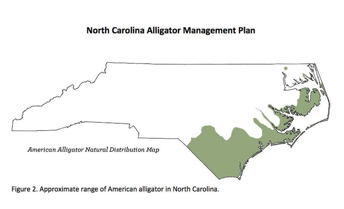 A graphic showing the approximate range of American alligators in North Carolina.