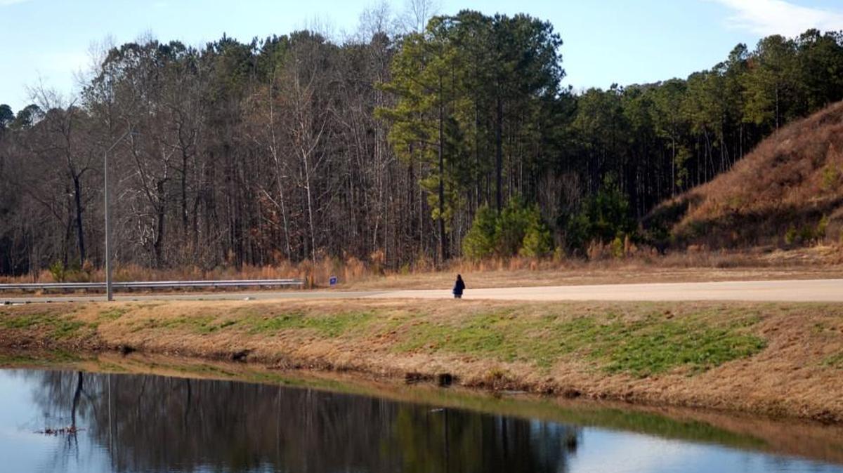 Thales Academy has expressed interest in building a school on this land in Chatham County near Cary.