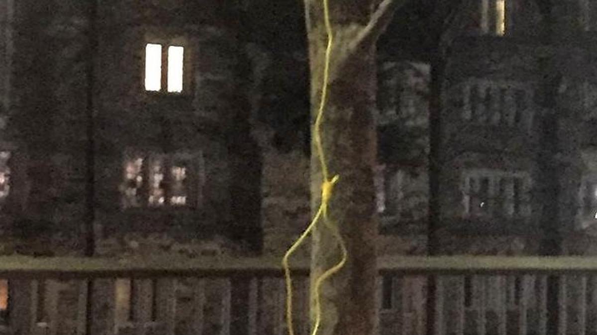 
A photo of a noose found hanging outside the main student center at Duke University in April 2015. The photo was circulated via social media by the Duke POC caucus.

