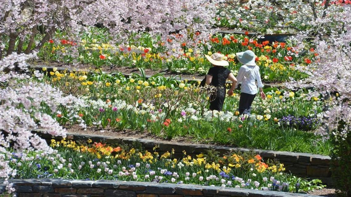 Try these 10+ tips for free stuff and cheap ways to garden