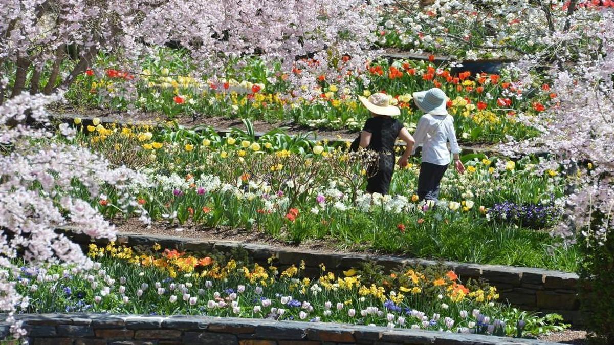 Try these 10+ tips for free stuff and cheap ways to garden
