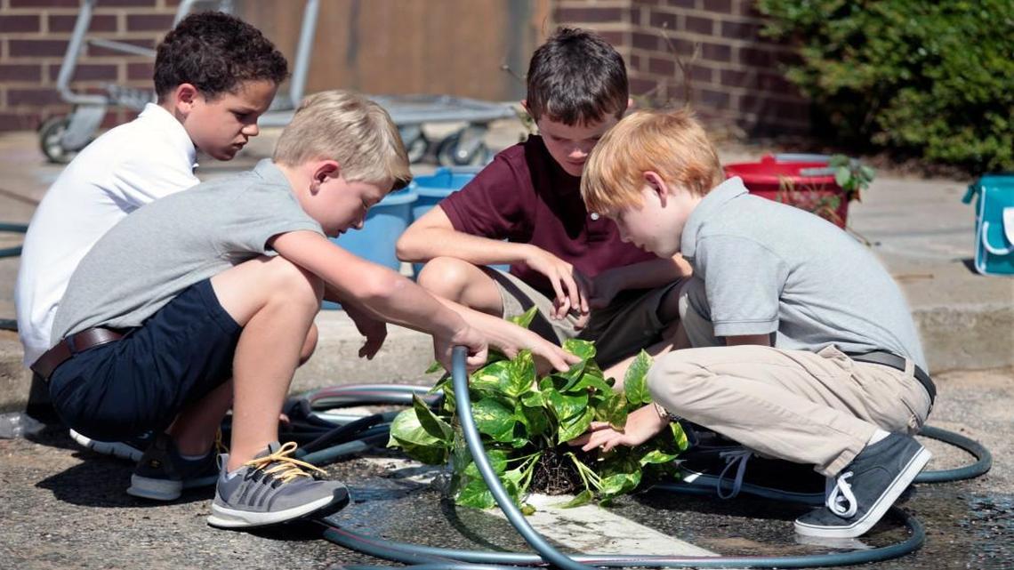 From left, Envision Science Academy 5th grade STEAM (Science, Technology, Engineering, Arts and Math) students Riley Rollinson, Bryce Miller, Javan Joyner and Spencer Griffin use a water hose to rinse off soil from the roots of a plant that will be part of their aquaponic living system during teacher Jennifer Byrd's class on Aug. 18, 2016. Envision received a ‘B’ school performance grade on new state test results released Thursday, Sept. 1, 2016.