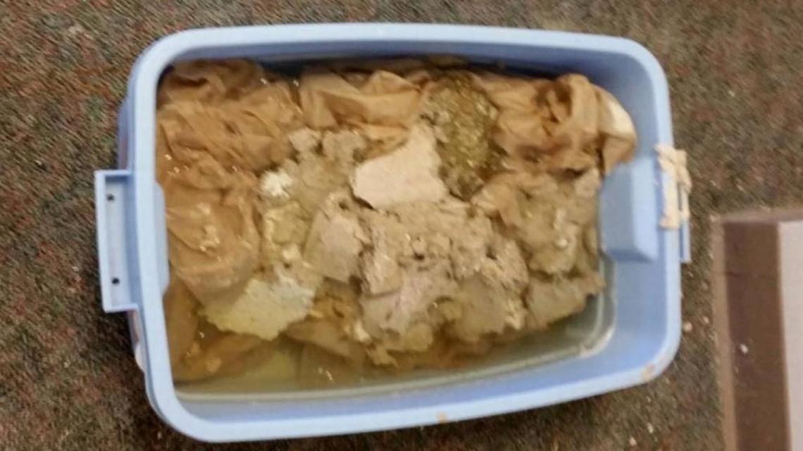 Vicki Nizen says these ceiling tiles fell due to a leak in her daughter's biology classroom.