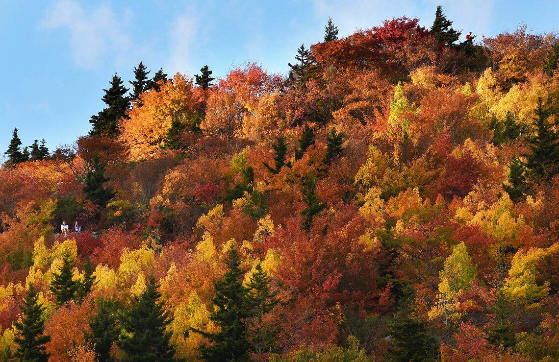 Two hikers enjoy the spectacular fall color along the Blue Ridge Parkway on the Tanawha Trail near Grandfather Mountain.