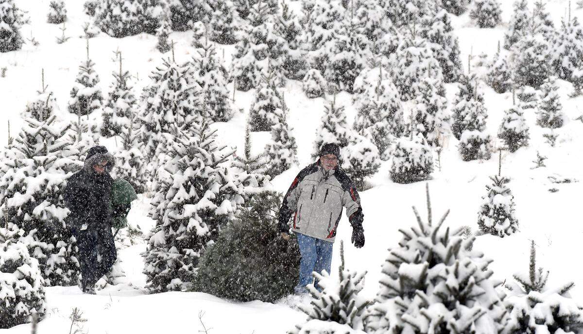 Parts of Western North Carolina may get snow in coming days. 