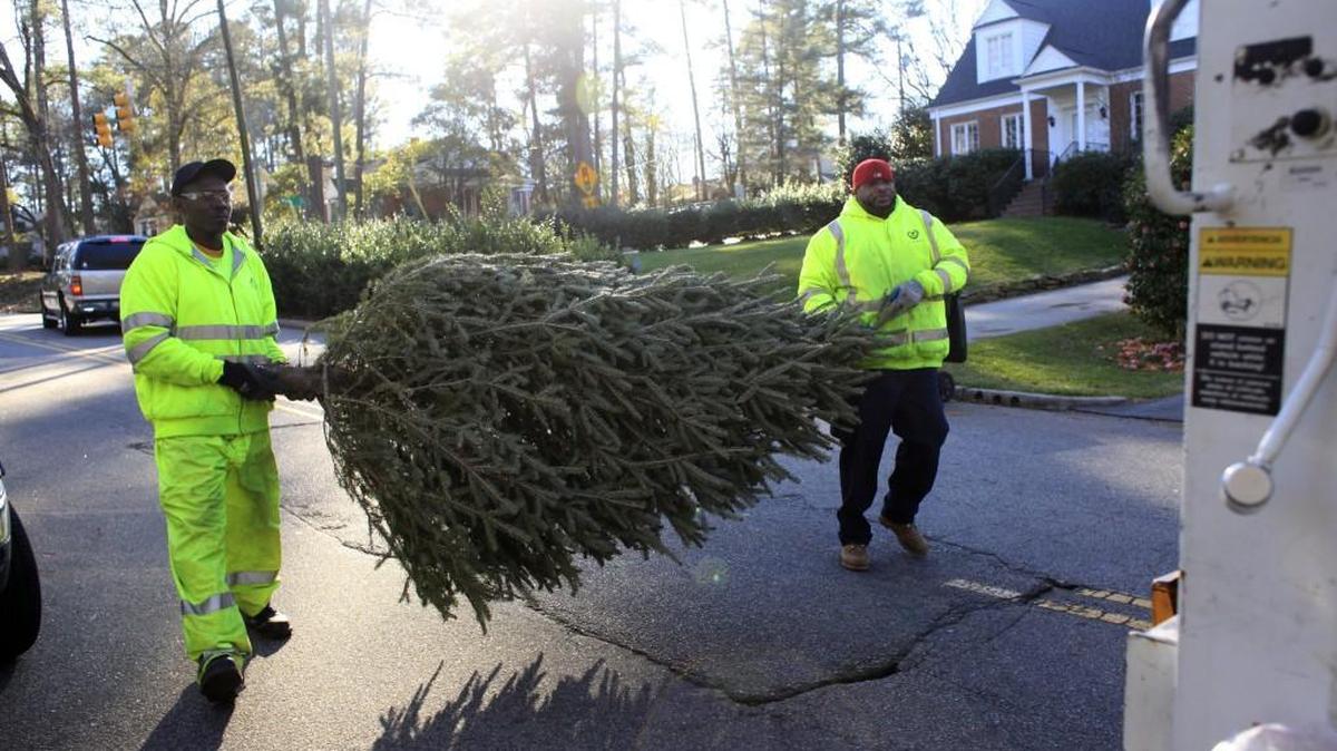 Thurman Strickland, left, and Keith Kelly of the Solid Waste Services Department prepare to load a discarded Christmas tree into a garbage compactor on Jan. 4, 2013 in Raleigh.