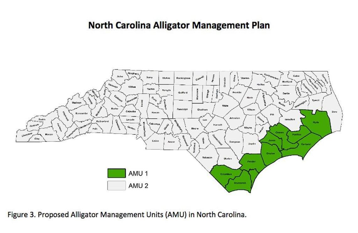 A graphic showing proposed management zones for American alligators in North Carolina.