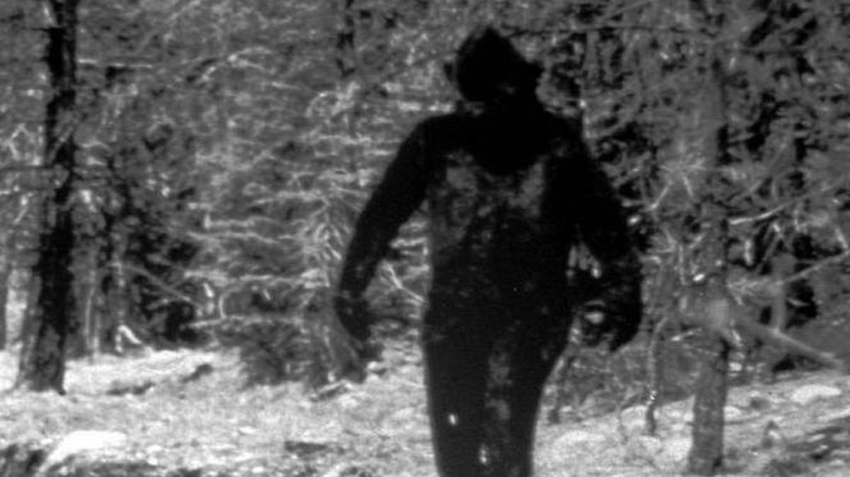 Bigfoot or a man in a suit?