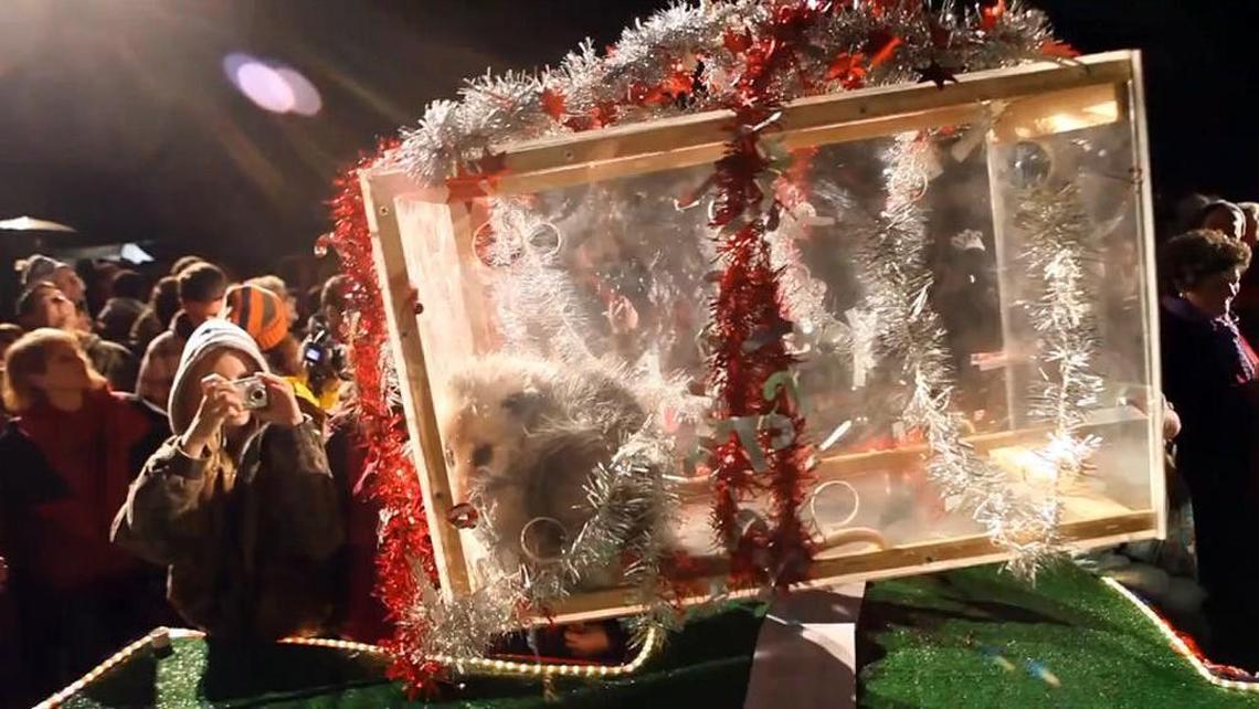 A possum is lowered in a plastic cage in front of an enthusiastic crowd Jan. 1, 2010 at the annual “Possum Drop” in Brasstown, N.C.