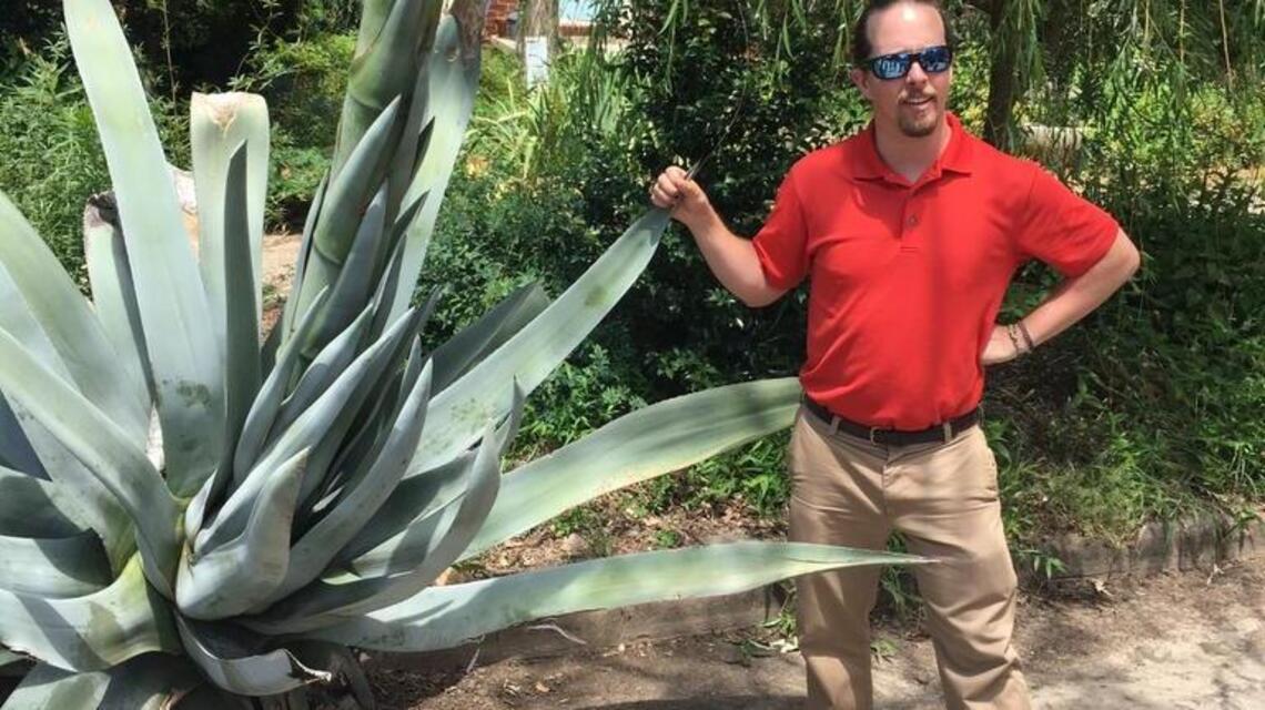 Brewery to make beer from outlaw agave plant in Raleigh