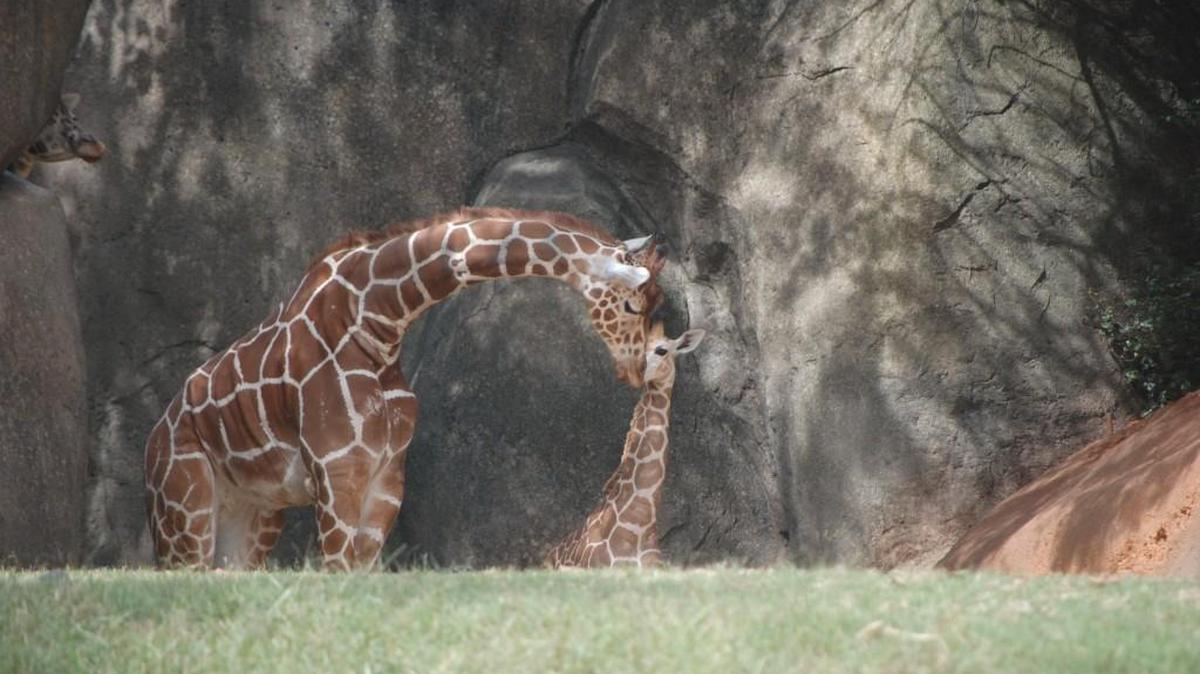 Jamili, left, with her daughter Juma.