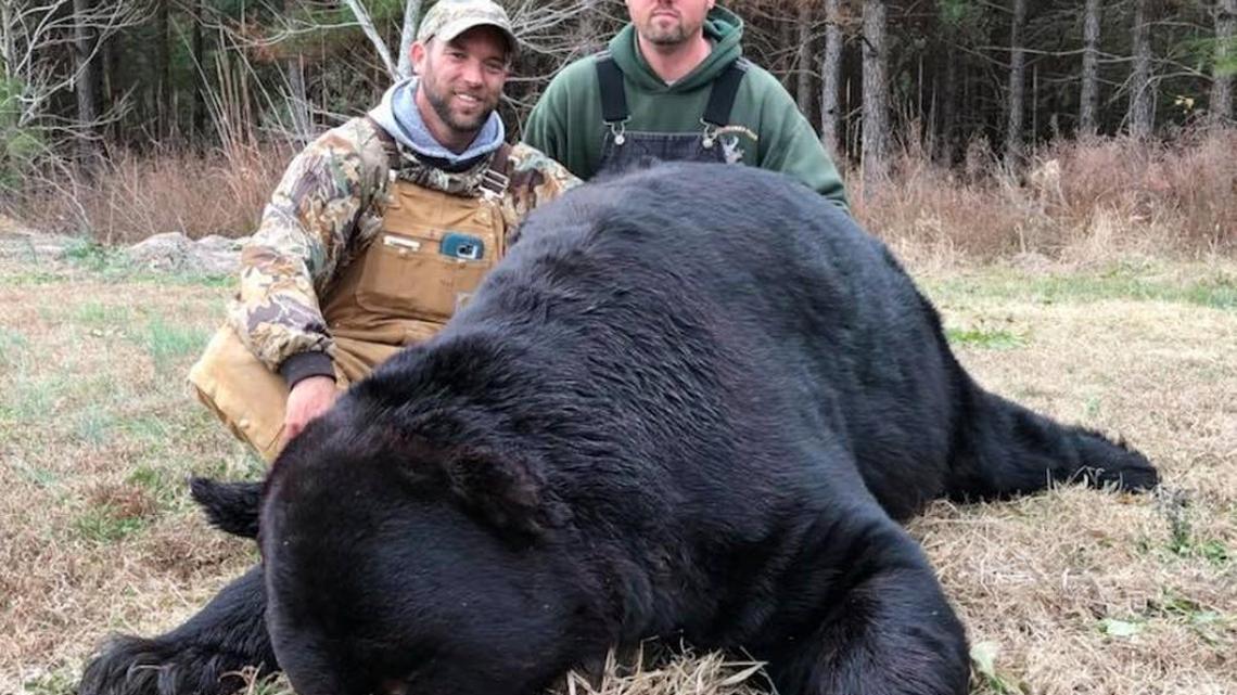 Michael Taylor and Ashley Wishall with the 640-pound bear.