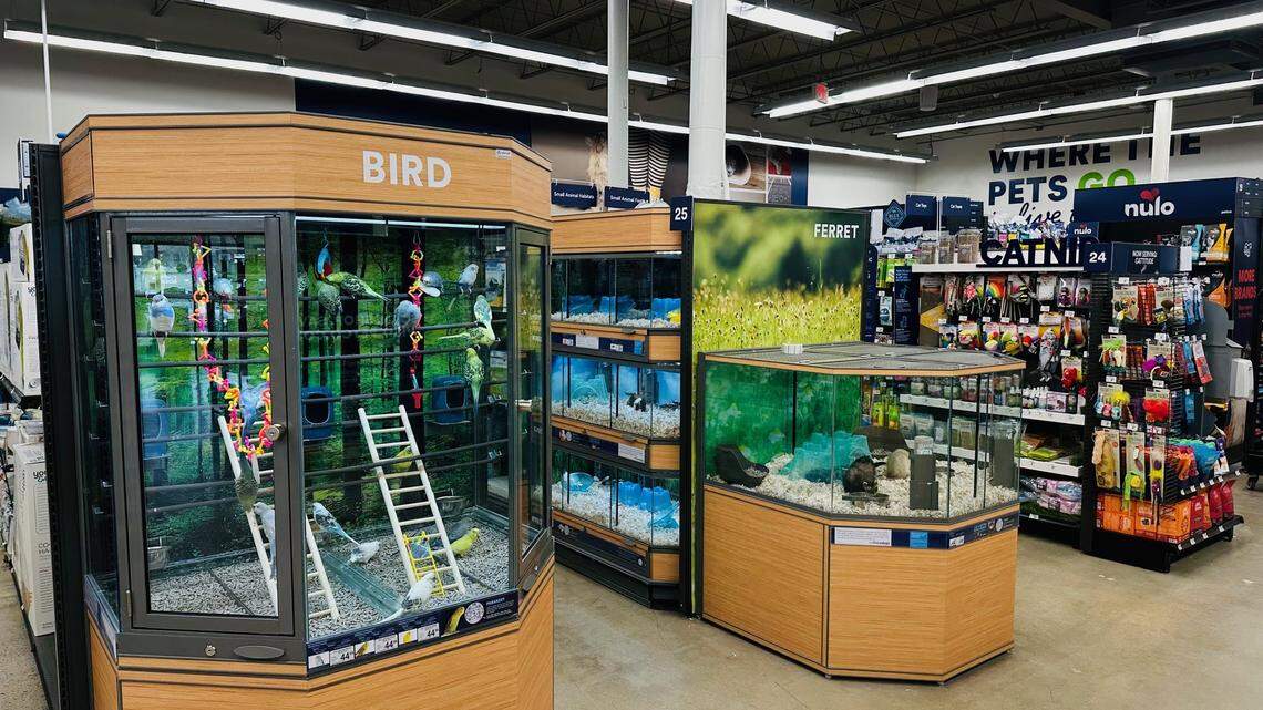 Chapel Hill’s Petco location will reopen in March 2026, months after the remnants of Tropical Storm Chantal flooded businesses in the Eastgate Crossing shopping center.