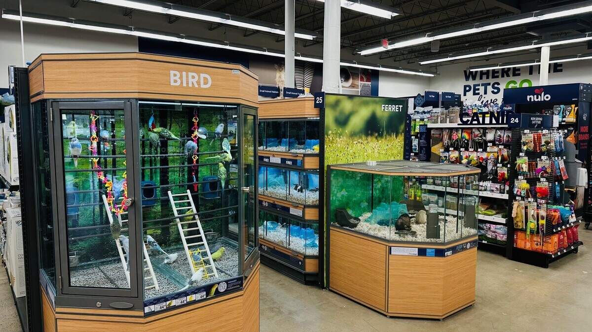 Chapel Hill’s Petco location will reopen in March 2026, months after the remnants of Tropical Storm Chantal flooded businesses in the Eastgate Crossing shopping center.