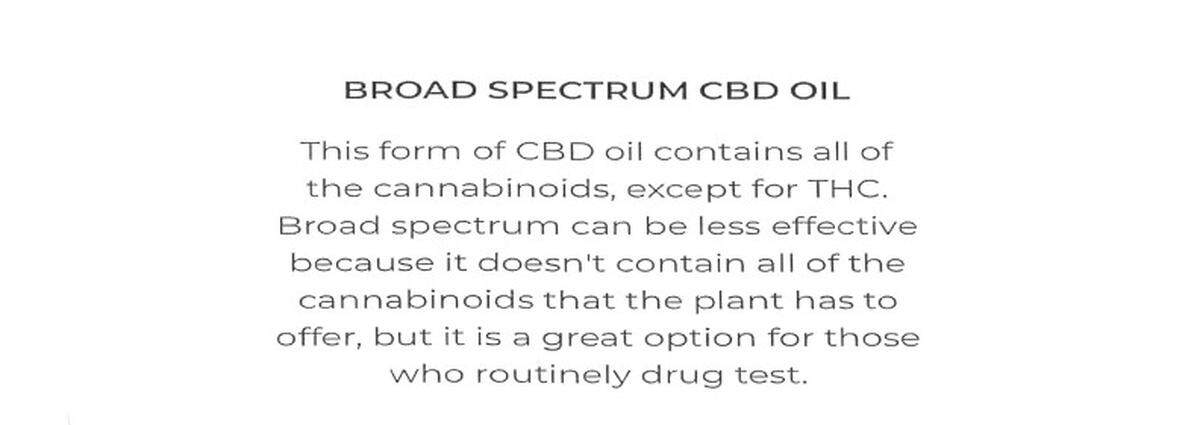A screen shot showing statements from the CBD product that Eric Schneider bought in 2022.
