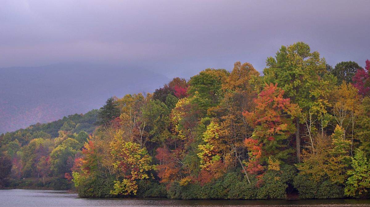 Forecasts for the fall are predicting above average temperatures in North Carolina this year. 