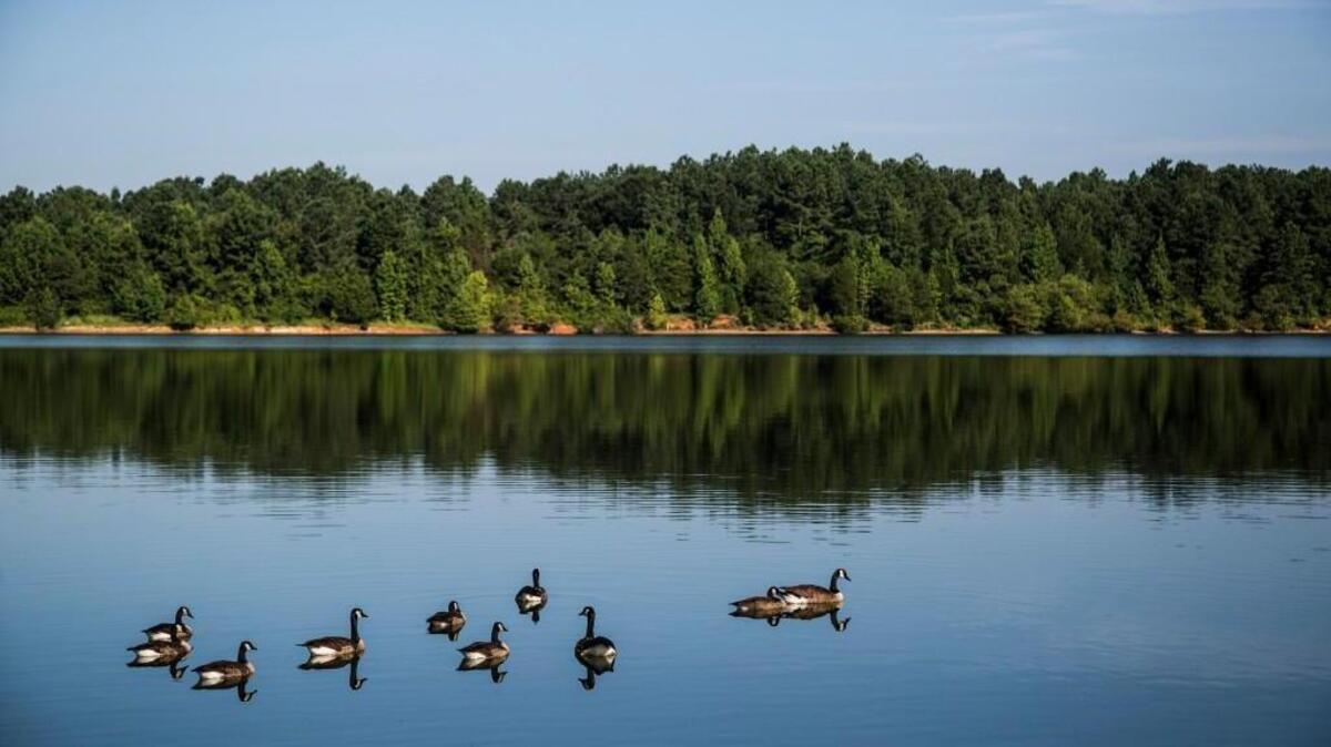Falls Lake is Wake County’s main source of drinking water.