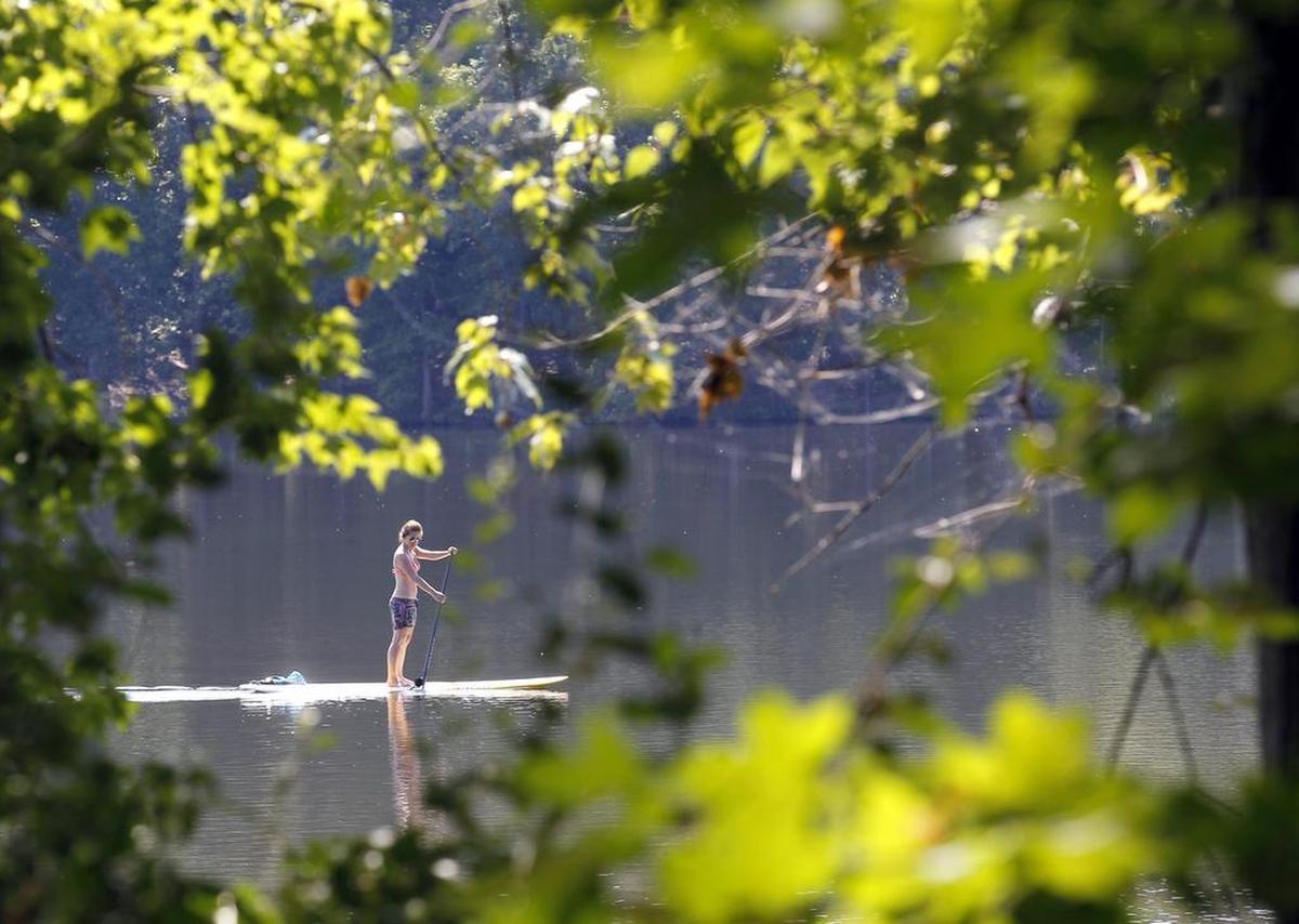 Sharon Price of Raleigh paddles her paddle board at Lake Johnson in Raleigh on Sept. 6, 2016. Lake Johnson, located on Avent Ferry Road, rents out Jon boats, pedal boats, kayaks, canoes, Sunfish sailboats and stand up paddle boards.