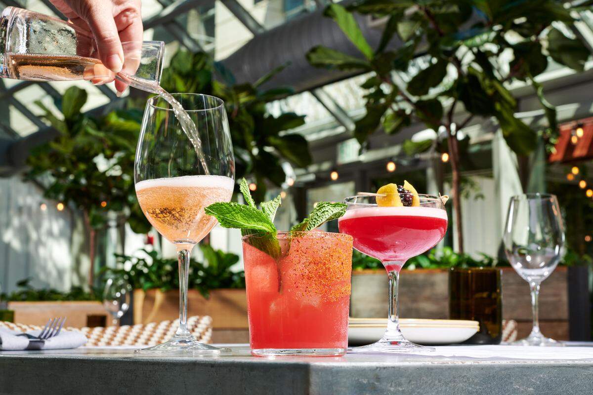 The restaurant and wine bar Sixty Vines is opening in late 2025 in Raleigh’s North Hills. Standard Beer + Food and Barking Dog are among the other dining options joining the development. 