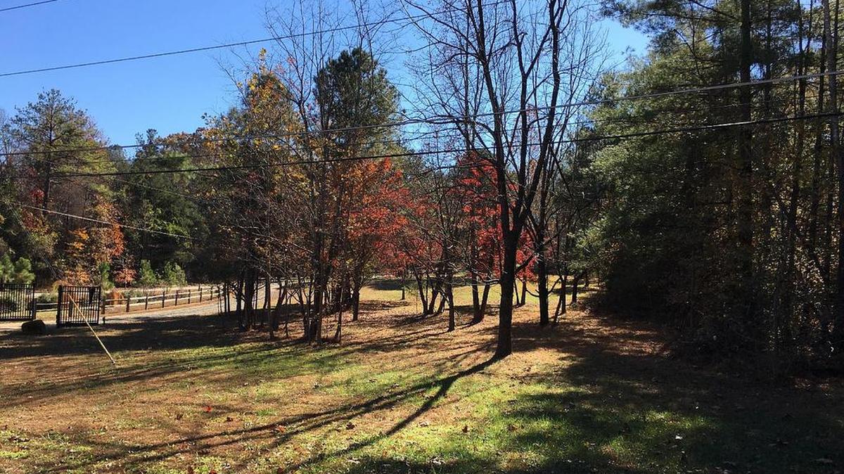 A Chapel Hill developer wants to build a nearly 60-foot-tall, 190-unit apartment building at this wooded location on Homestead Road, across the street from Weaver Dairy Road Extension. The site is adjacent to UNC’s Carolina North Greenway (background).
